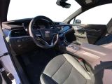 Cadillac XT6 bei Reisemobile.expert - Abbildung (12 / 15)