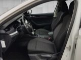 Skoda Octavia bei Reisemobile.expert - Abbildung (7 / 15)