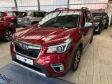 Subaru Forester bei Reisemobile.expert - Abbildung (3 / 15)