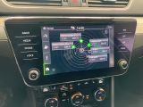 Skoda Superb bei Reisemobile.expert - Abbildung (12 / 15)