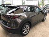 Mazda CX-30 bei Reisemobile.expert - Abbildung (6 / 15)