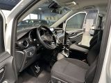 Mercedes-Benz Edition bei Reisemobile.expert - Abbildung (10 / 15)