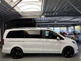 Mercedes-Benz Edition bei Reisemobile.expert - Abbildung (6 / 15)