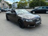Audi A5 Cabriolet bei Reisemobile.expert - Abbildung (5 / 15)
