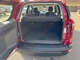 Ford EcoSport bei Reisemobile.expert - Abbildung (9 / 15)