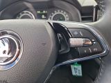 Skoda Kamiq bei Reisemobile.expert - Abbildung (13 / 15)