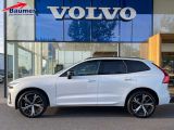 Volvo XC60 bei Reisemobile.expert - Abbildung (2 / 15)