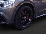 Alfa Romeo Stelvio bei Reisemobile.expert - Abbildung (10 / 15)