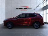 Ford Kuga bei Reisemobile.expert - Abbildung (8 / 15)