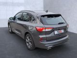 Ford Kuga bei Reisemobile.expert - Abbildung (4 / 15)