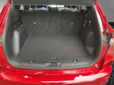 Ford Kuga bei Reisemobile.expert - Abbildung (14 / 15)