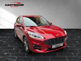 Ford Kuga bei Reisemobile.expert - Abbildung (5 / 15)