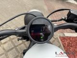 Honda 500 Rebel bei Reisemobile.expert - Abbildung (12 / 13)