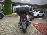 Honda 350 Forza bei Reisemobile.expert - Abbildung (4 / 10)