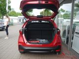 Honda Jazz bei Reisemobile.expert - Abbildung (6 / 15)