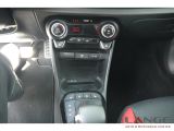 Kia Picanto bei Reisemobile.expert - Abbildung (13 / 15)