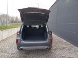 Ford Kuga bei Reisemobile.expert - Abbildung (14 / 15)