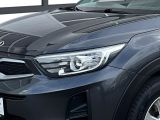 Kia Stonic bei Reisemobile.expert - Abbildung (5 / 15)