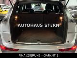 Audi SQ5 bei Reisemobile.expert - Abbildung (8 / 15)