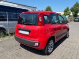 Fiat Panda bei Reisemobile.expert - Abbildung (5 / 15) Fiat Panda bei Reisemobile.expert - Abbildung (5 / 15)