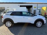 Citroen C4 Cactus bei Reisemobile.expert - Abbildung (4 / 15)