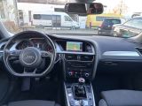 Audi A4 bei Reisemobile.expert - Abbildung (13 / 15)