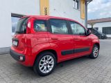 Fiat Panda bei Reisemobile.expert - Abbildung (5 / 15)