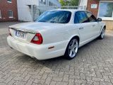 Jaguar XJ8 bei Reisemobile.expert - Abbildung (8 / 15)