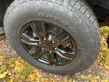 Ford Ranger bei Reisemobile.expert - Abbildung (8 / 15)