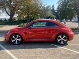 VW Beetle bei Reisemobile.expert - Abbildung (8 / 15)