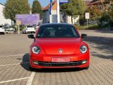 VW Beetle bei Reisemobile.expert - Abbildung (2 / 15)