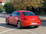 VW Beetle bei Reisemobile.expert - Abbildung (7 / 15)