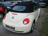 VW New Beetle bei Reisemobile.expert - Abbildung (4 / 11)