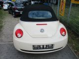 VW New Beetle bei Reisemobile.expert - Abbildung (5 / 11)