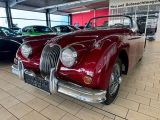 Jaguar XK bei Reisemobile.expert - Abbildung (4 / 10)