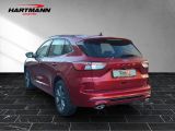 Ford Kuga bei Reisemobile.expert - Abbildung (3 / 15)