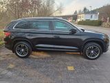 Skoda Kodiaq bei Reisemobile.expert - Abbildung (4 / 8)