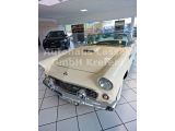 Ford Thunderbird bei Reisemobile.expert - Abbildung (2 / 13)