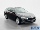 Skoda Octavia bei Reisemobile.expert - Abbildung (7 / 15)