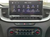 Kia XCeed bei Reisemobile.expert - Abbildung (15 / 15)