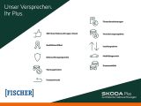 Skoda Octavia bei Reisemobile.expert - Abbildung (5 / 15)