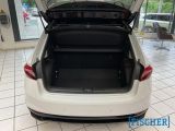 Skoda Fabia bei Reisemobile.expert - Abbildung (7 / 15)
