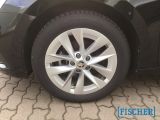 Skoda Octavia bei Reisemobile.expert - Abbildung (14 / 15)