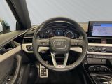 Audi A4 bei Reisemobile.expert - Abbildung (8 / 13)