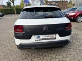 Citroen C4 Cactus bei Reisemobile.expert - Abbildung (4 / 15)
