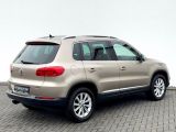 VW Tiguan bei Reisemobile.expert - Abbildung (5 / 15)