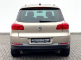 VW Tiguan bei Reisemobile.expert - Abbildung (6 / 15)