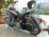 Harley-Davidson Softail bei Reisemobile.expert - Abbildung (3 / 8)