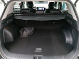 Kia Sportage bei Reisemobile.expert - Abbildung (12 / 12)