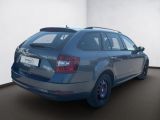 Skoda Octavia bei Reisemobile.expert - Abbildung (4 / 15)